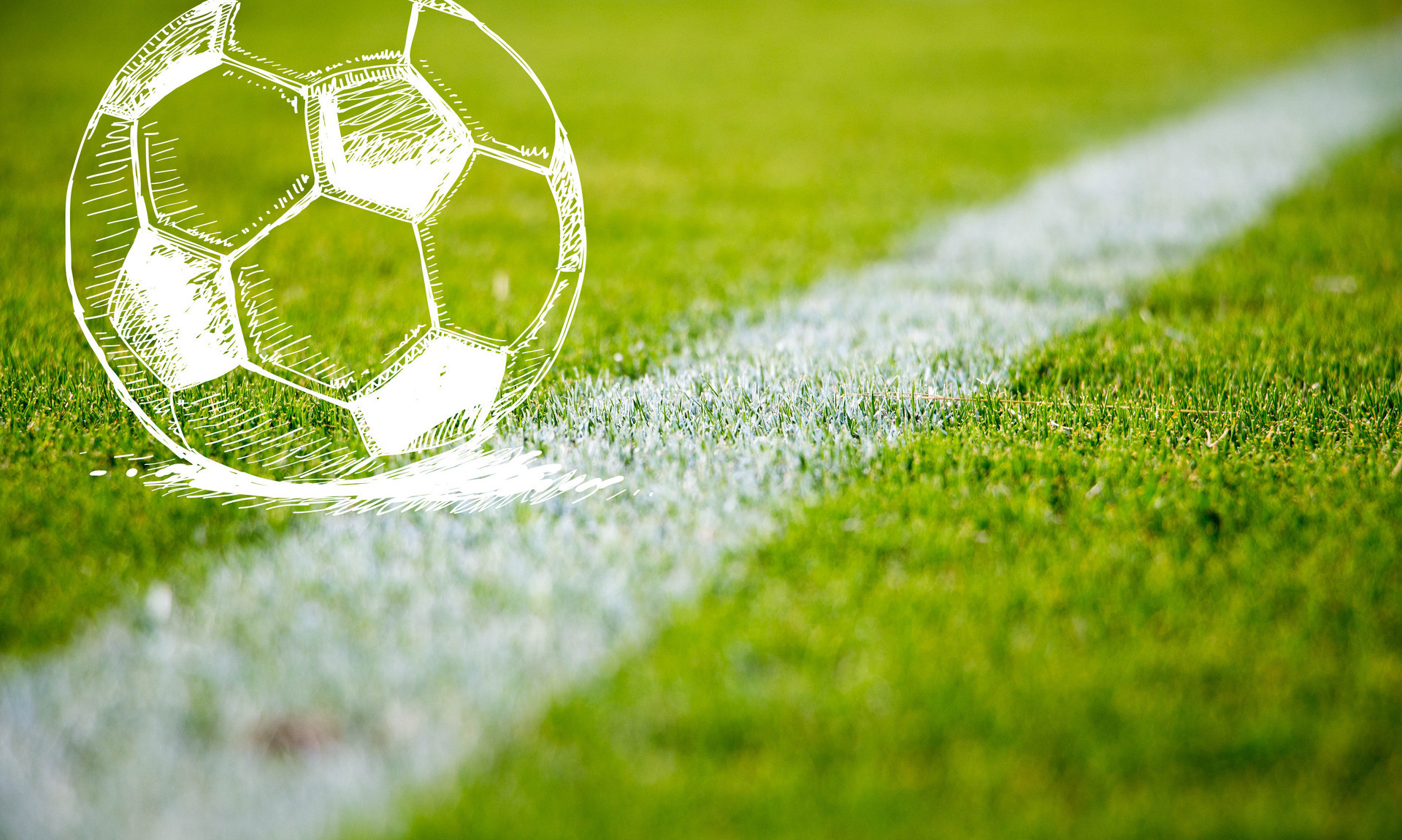 使辽篮能够 使辽篮能够