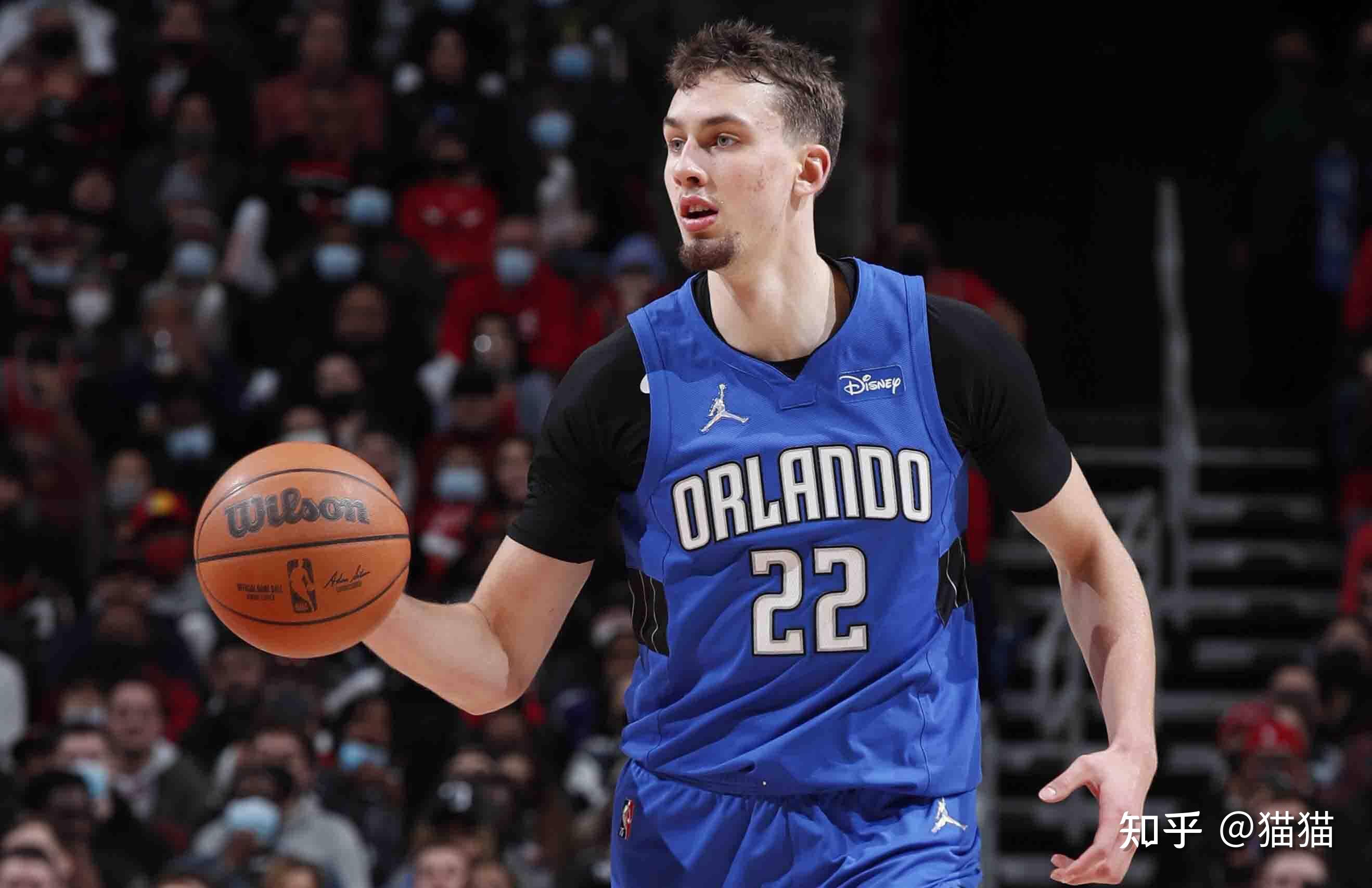 职业发展新 职业发展新